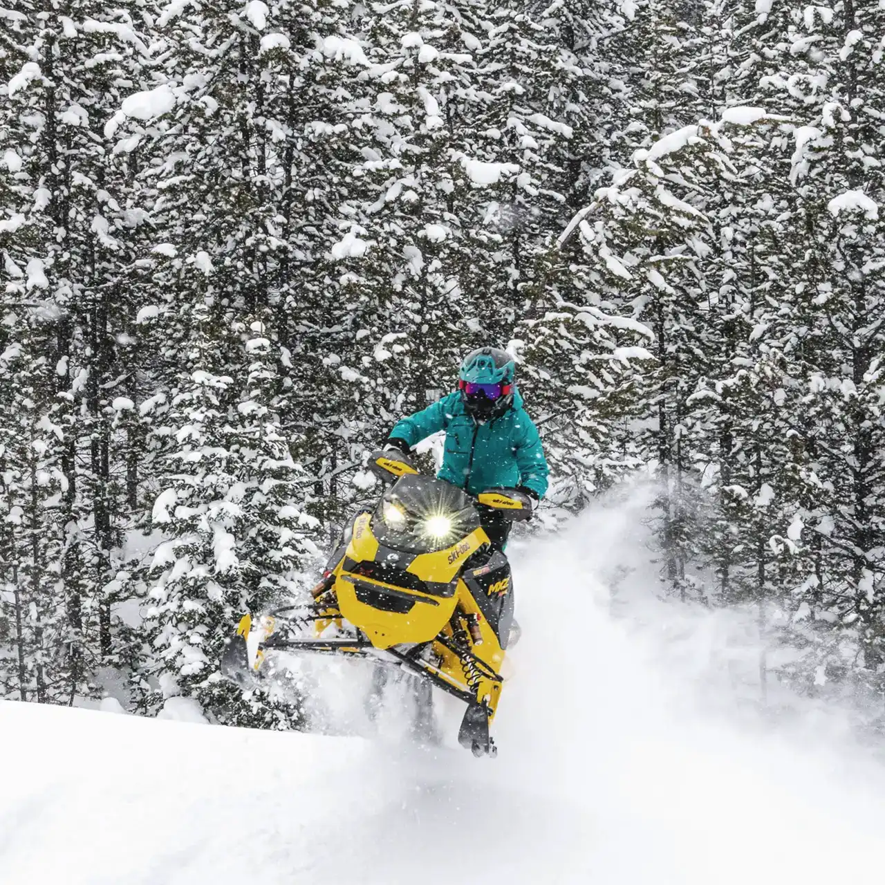 Ski-Doo/LYNX 850 E-TEC Turbo MXZ X-RS Stage 1 - 205 Hp