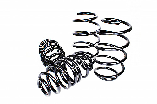 Lowering Springs